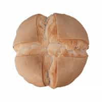 Pan de Cruz